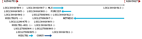 Genomic Context describing neighboring genes