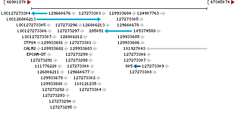 Genomic Context describing neighboring genes