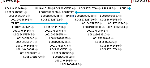 Genomic Context describing neighboring genes