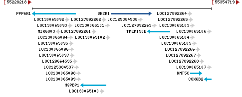 Genomic Context describing neighboring genes