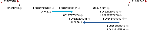 Genomic Context describing neighboring genes