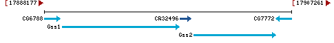 Genomic Context describing neighboring genes