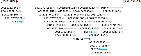 Genomic Context describing neighboring genes