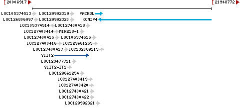 Genomic Context describing neighboring genes