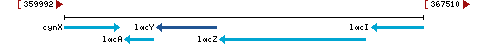 Genomic Context describing neighboring genes