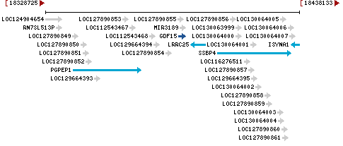 Genomic Context describing neighboring genes