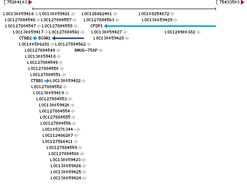 Genomic Context describing neighboring genes