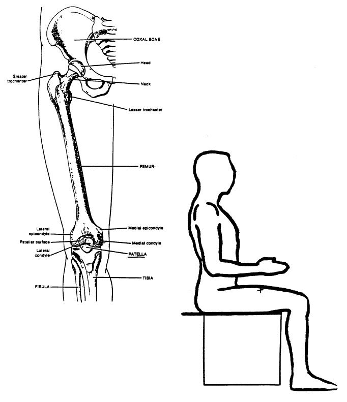 The anthropometric measurements used to calculate SI: LB-N: lateral
