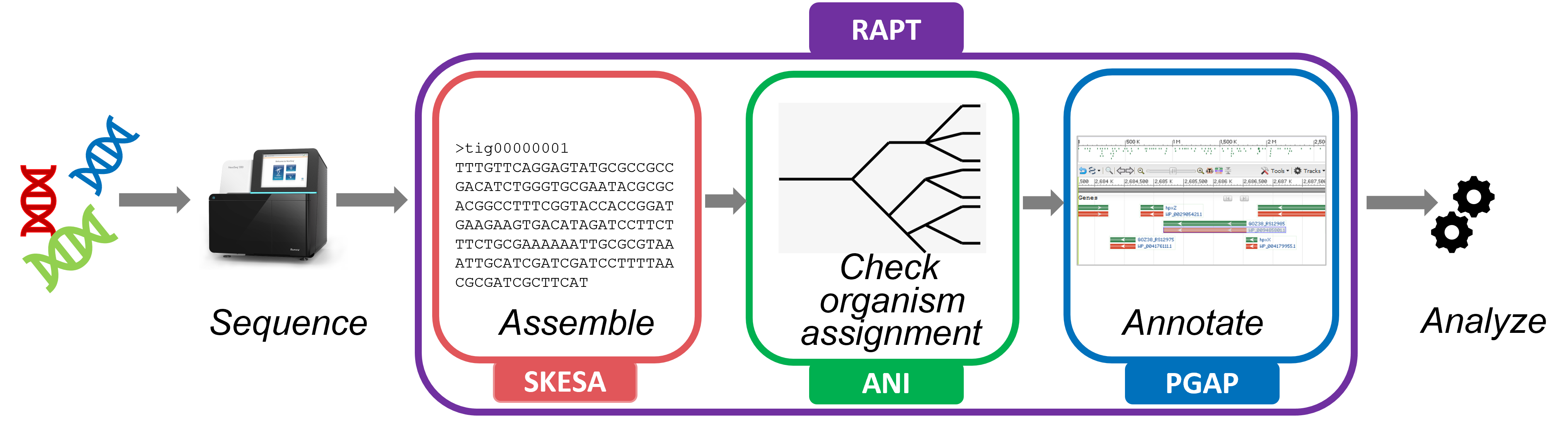 use rapt in a sentence