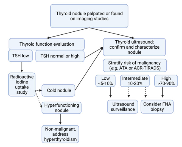 Figure 1 Approach To Evaluation Of Thyroid Endotext Ncbi